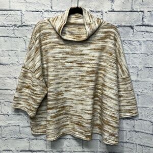 Anthropology Silence + Noise Oversized Cowl Neck Pullover/sweater